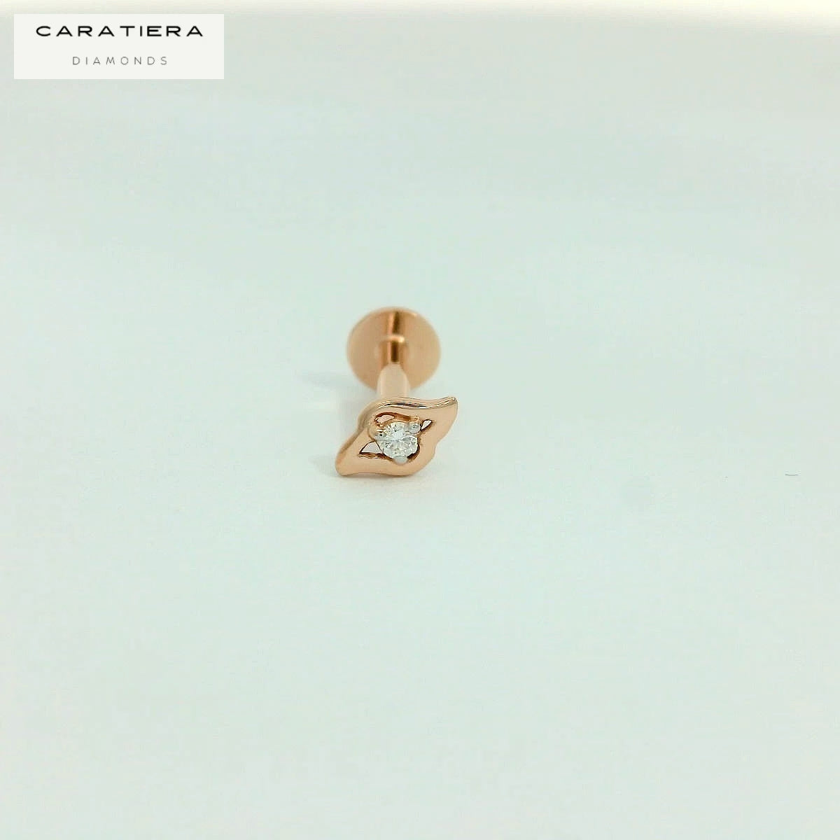 Elegant Rose Gold nose oin