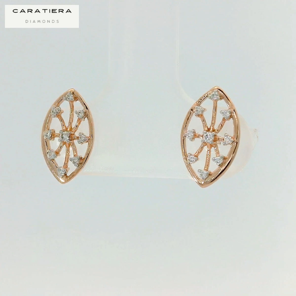 Elegant Diamond Earrings