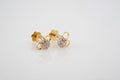 Daisy Sparkle Earring  - 2STDD60