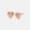 Multi Pierced Stud Earrings - STDD