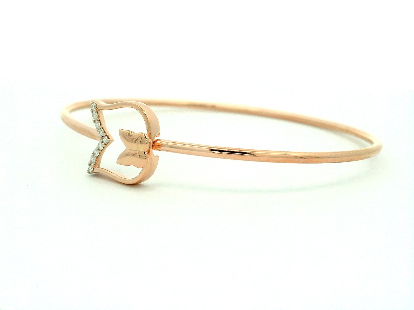 Shimmering Spirit Bangle  - PBD21