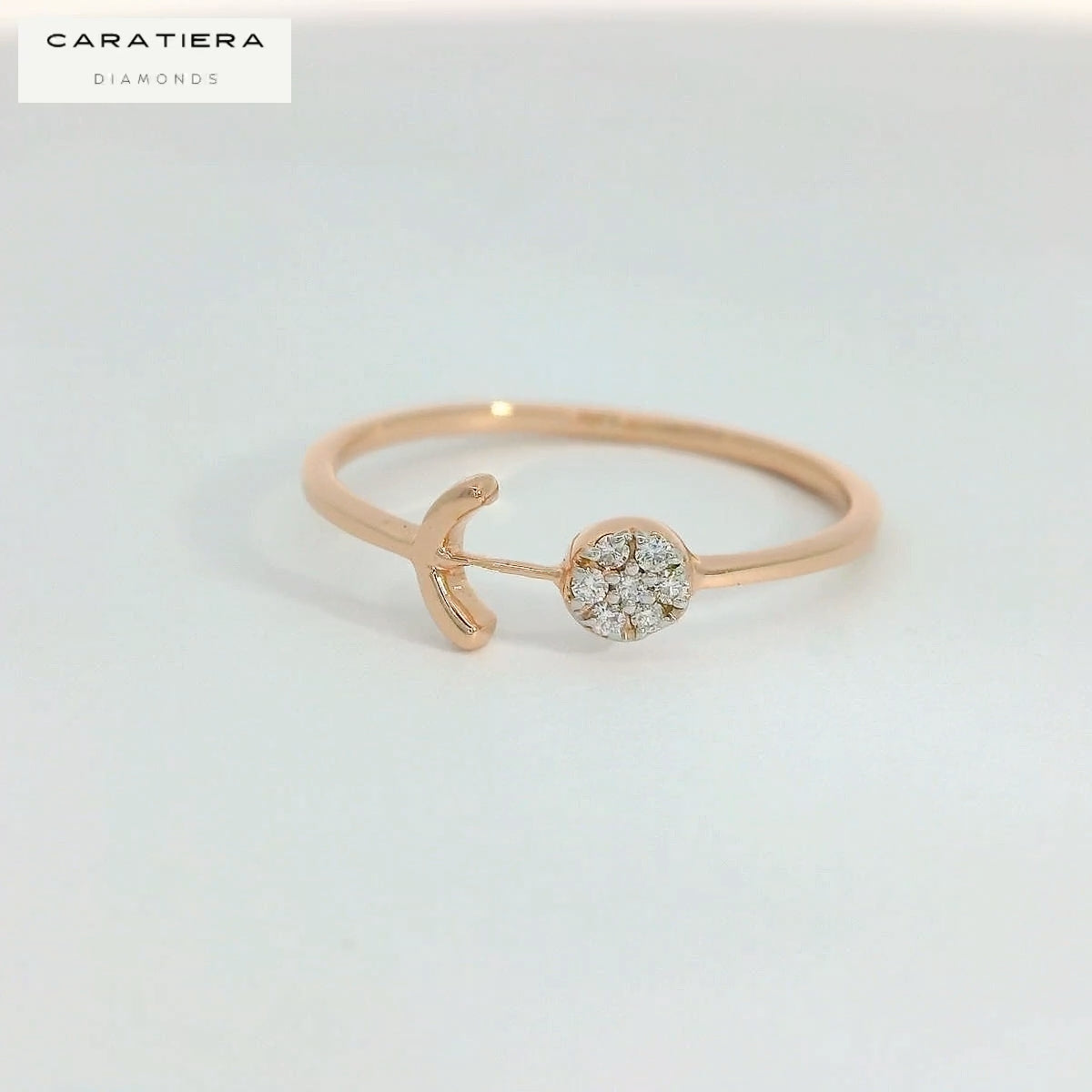 Lunar Petal  Ring   -RGD218