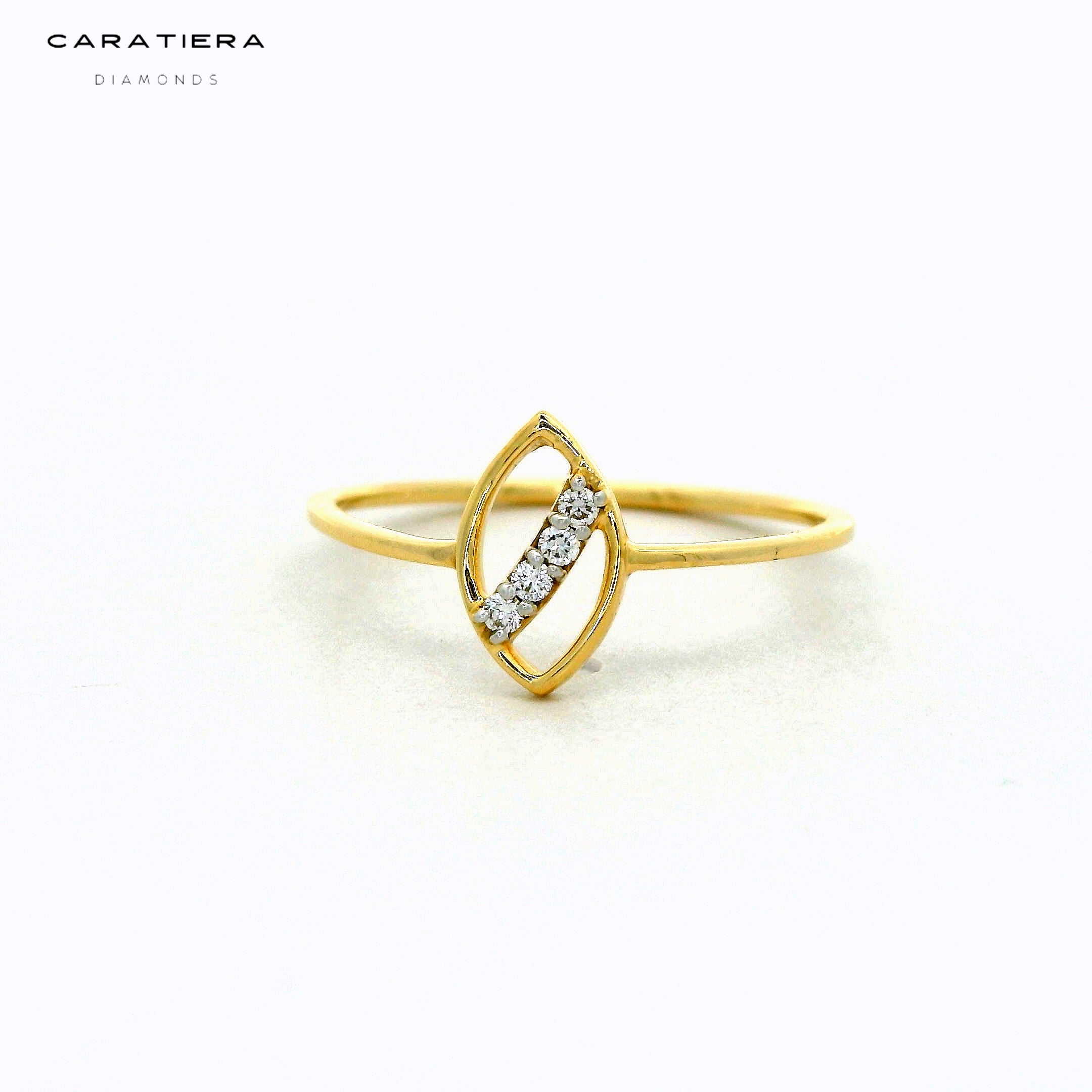 The Celestial Slant  - RGD444