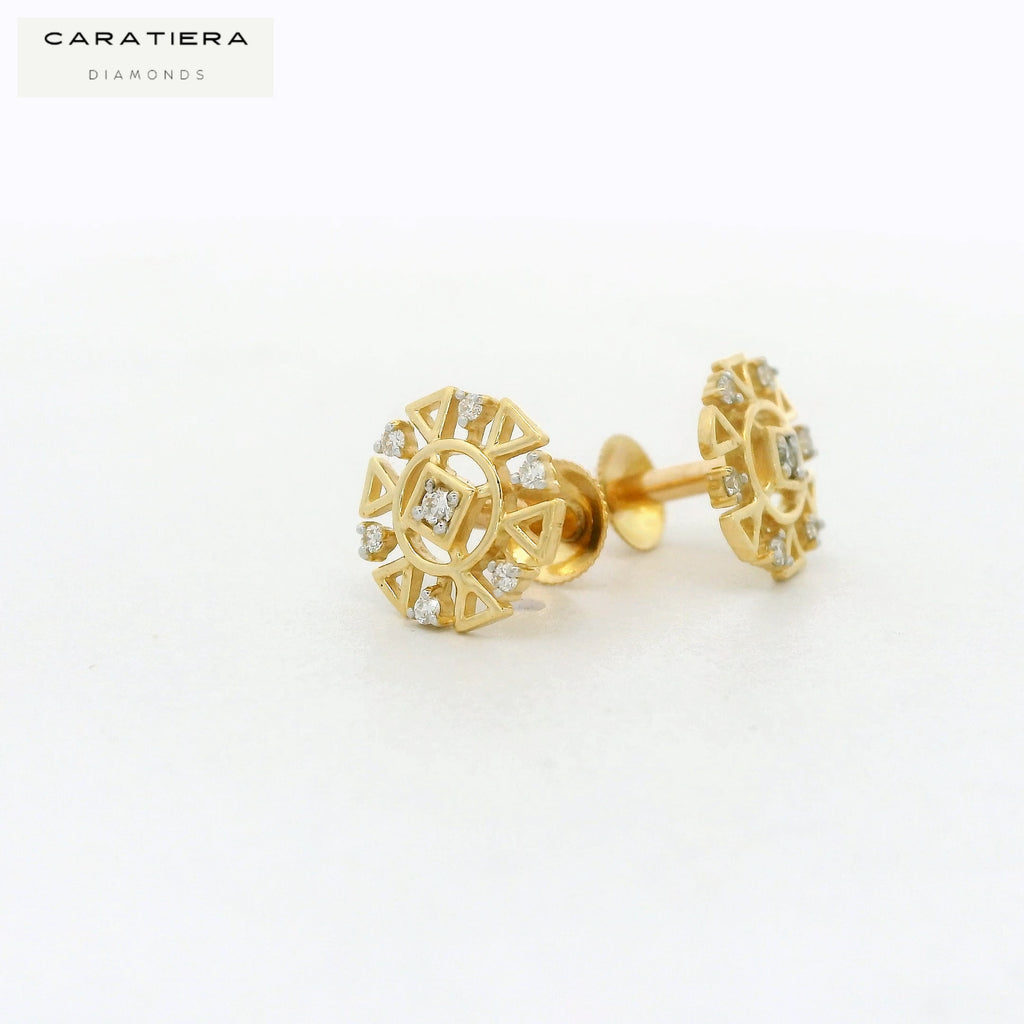 Prism Ray Earrings  -STDD345