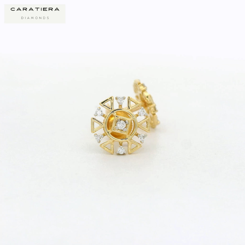 Prism Ray Earrings  -STDD345