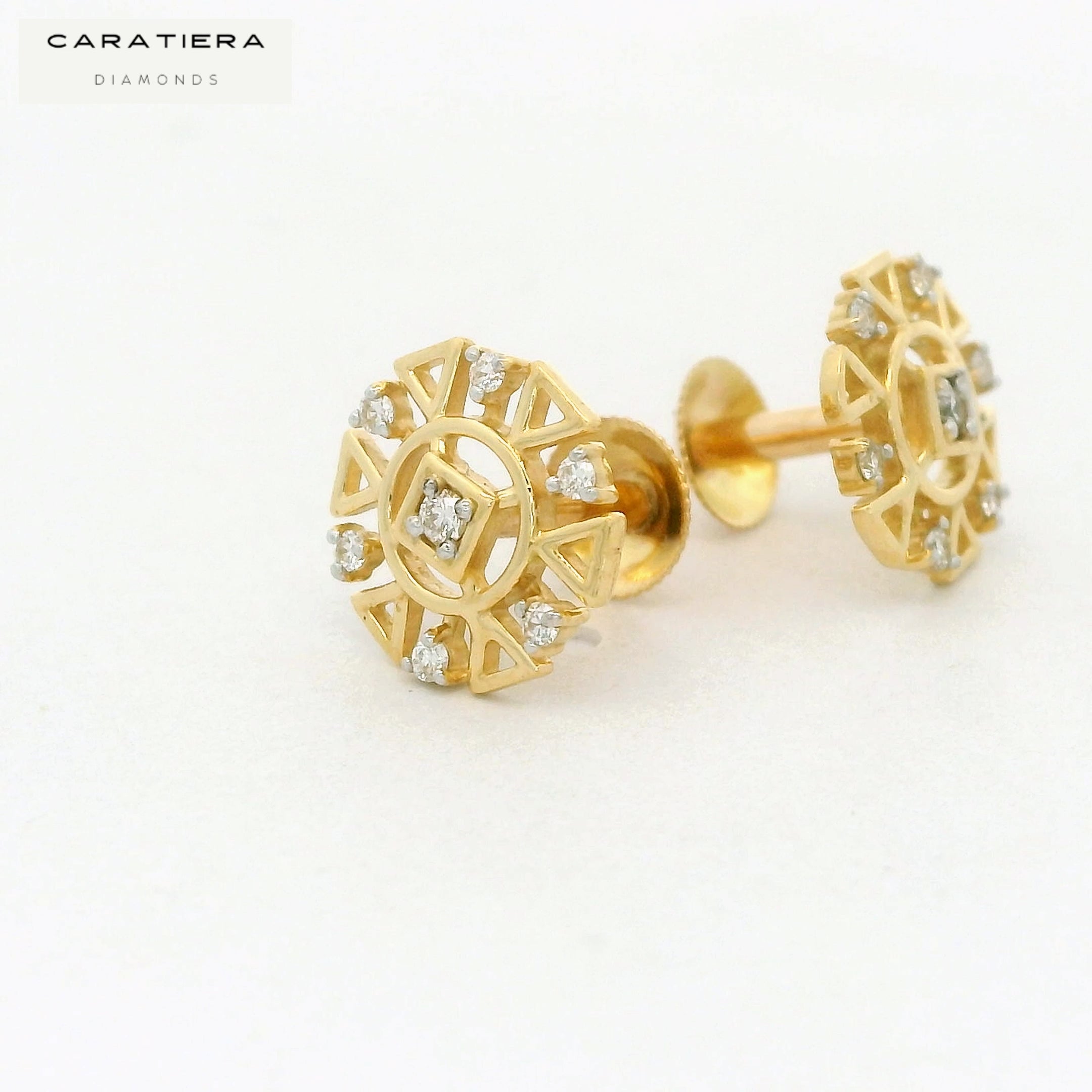 Prism Ray Earrings  -STDD345