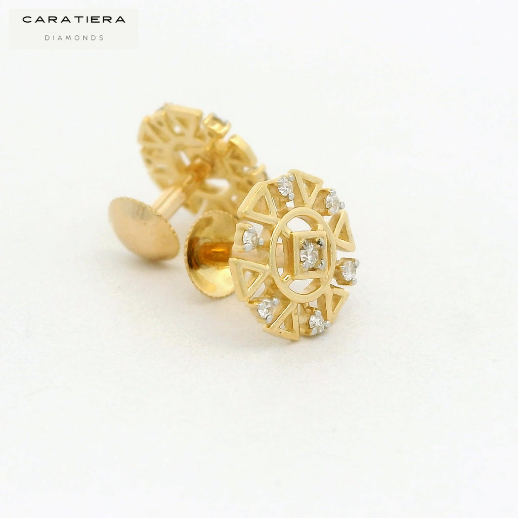 Prism Ray Earrings  -STDD345