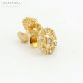 Prism Ray Earrings  -STDD345