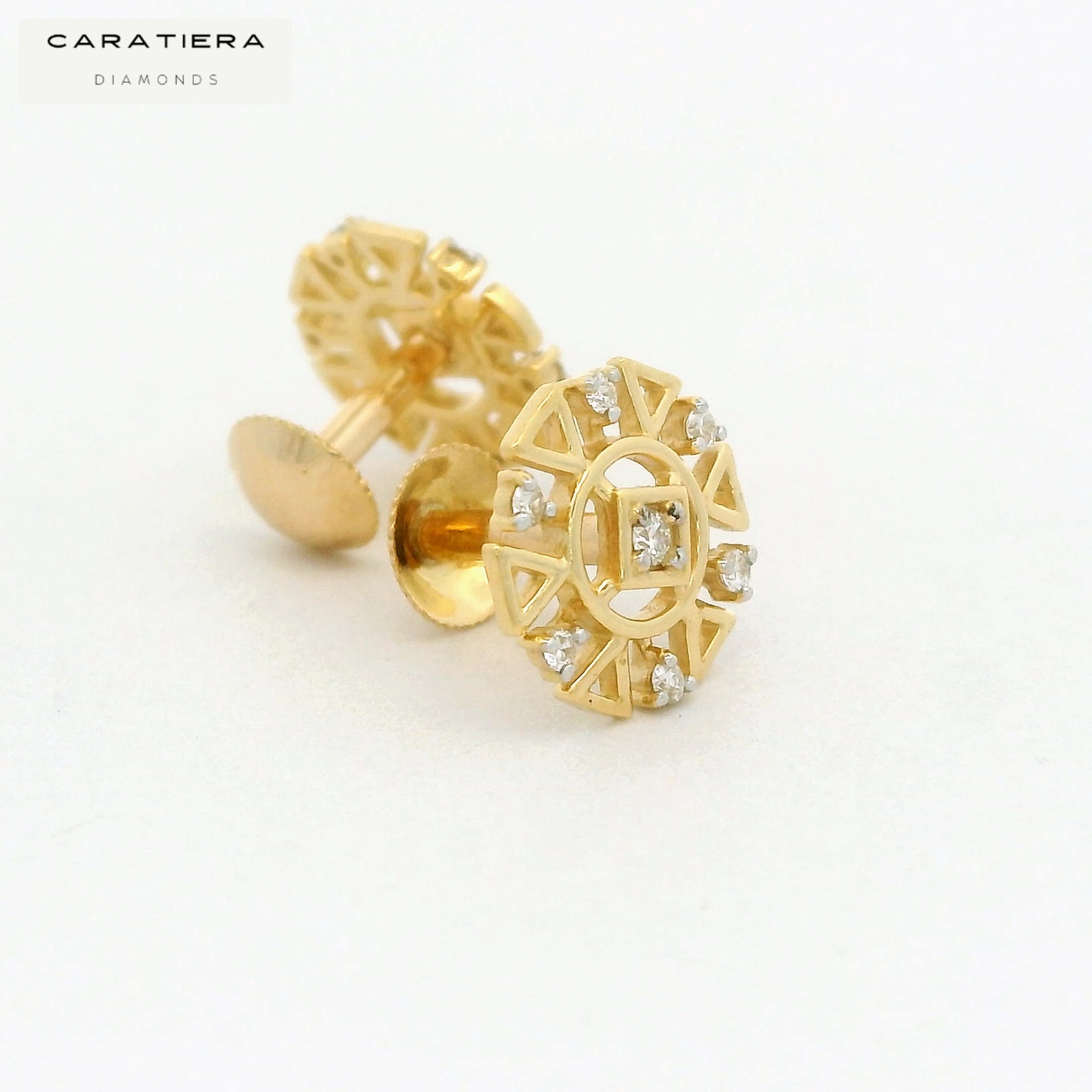 Prism Ray Earrings  -STDD345