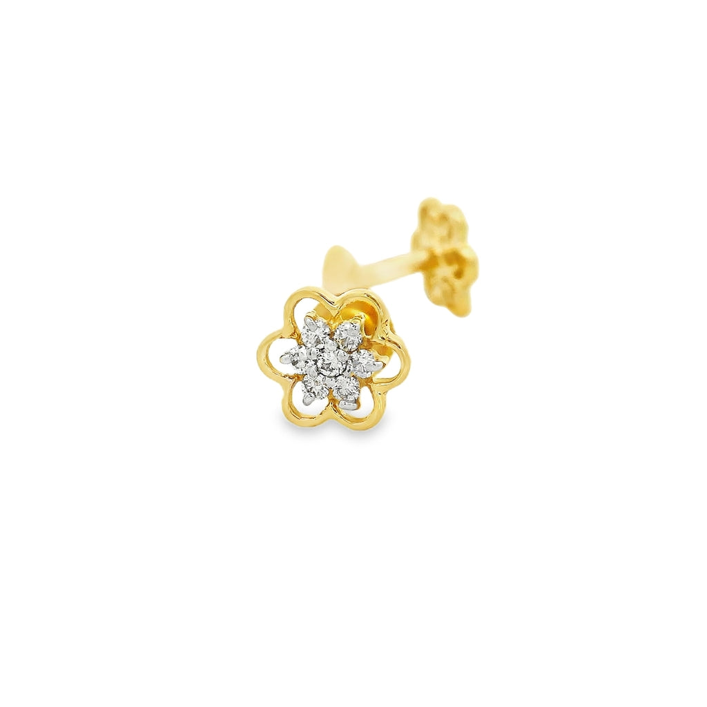 The Luminous Blossom Cluster   -STDD1178