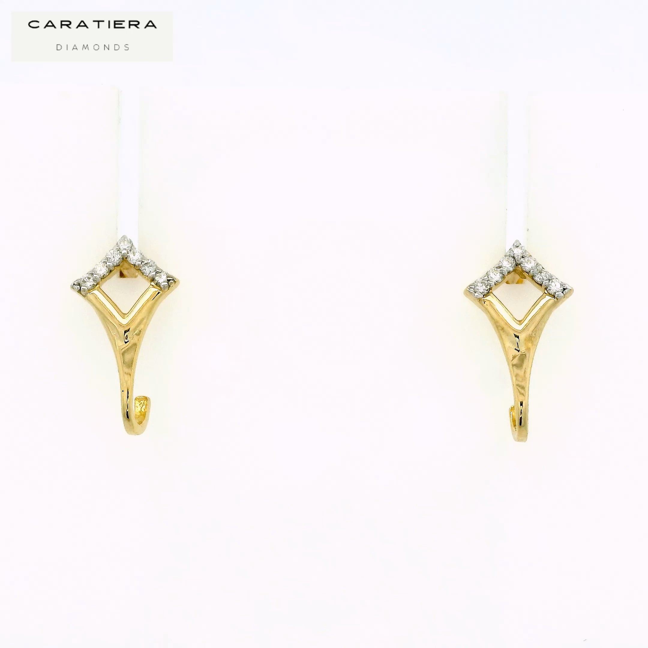 Elara Arch Earrings   -STDD177