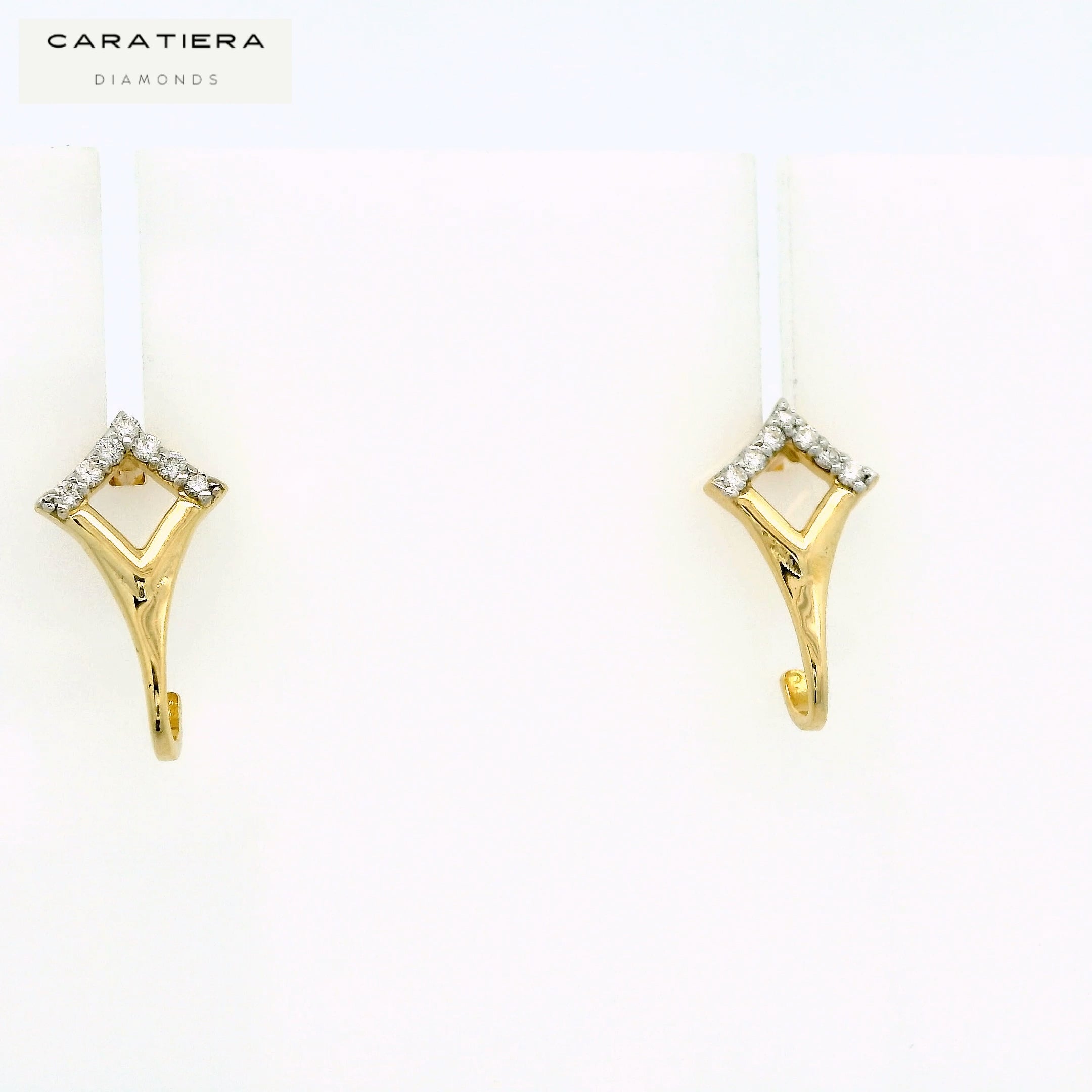 Elara Arch Earrings   -STDD177