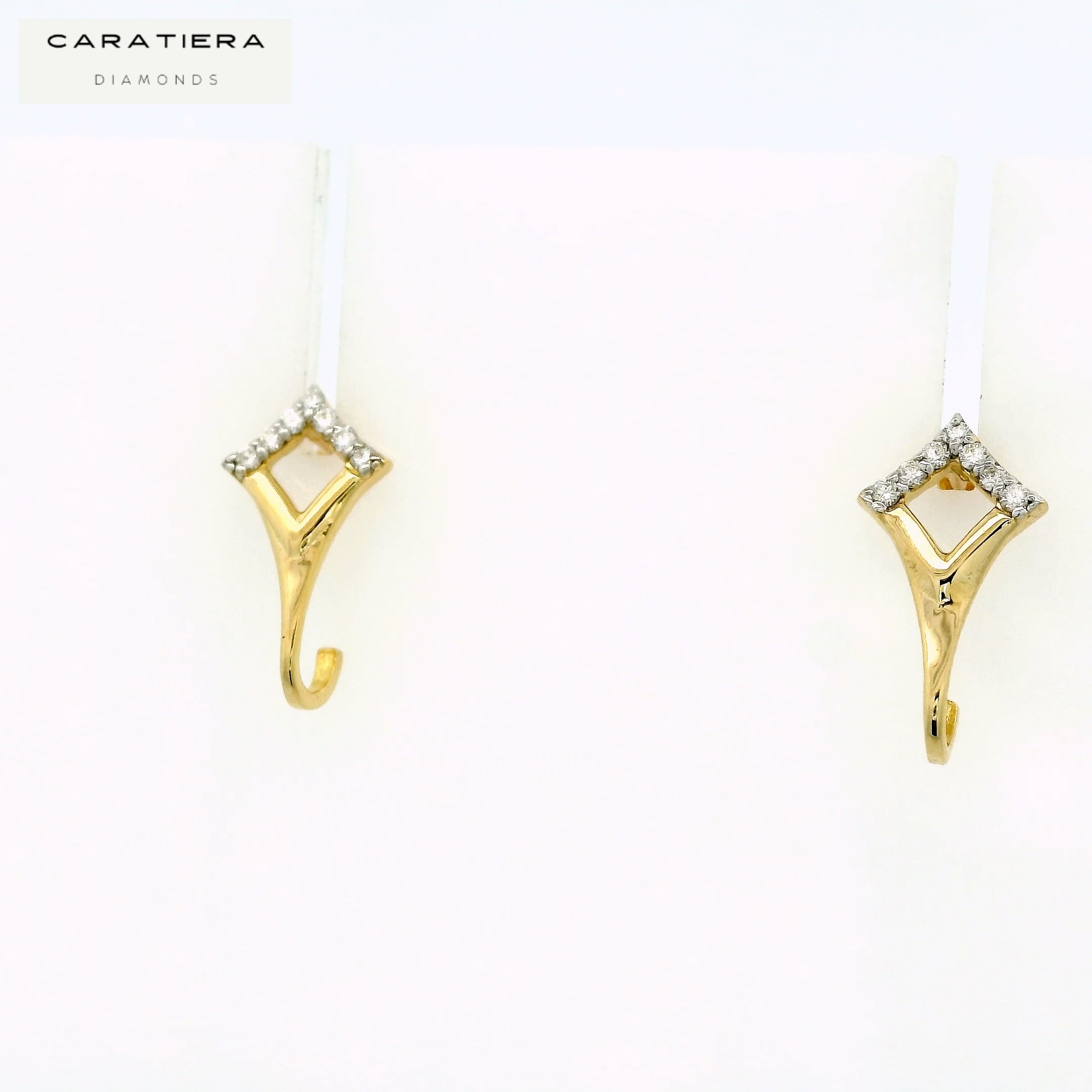 Elara Arch Earrings   -STDD177