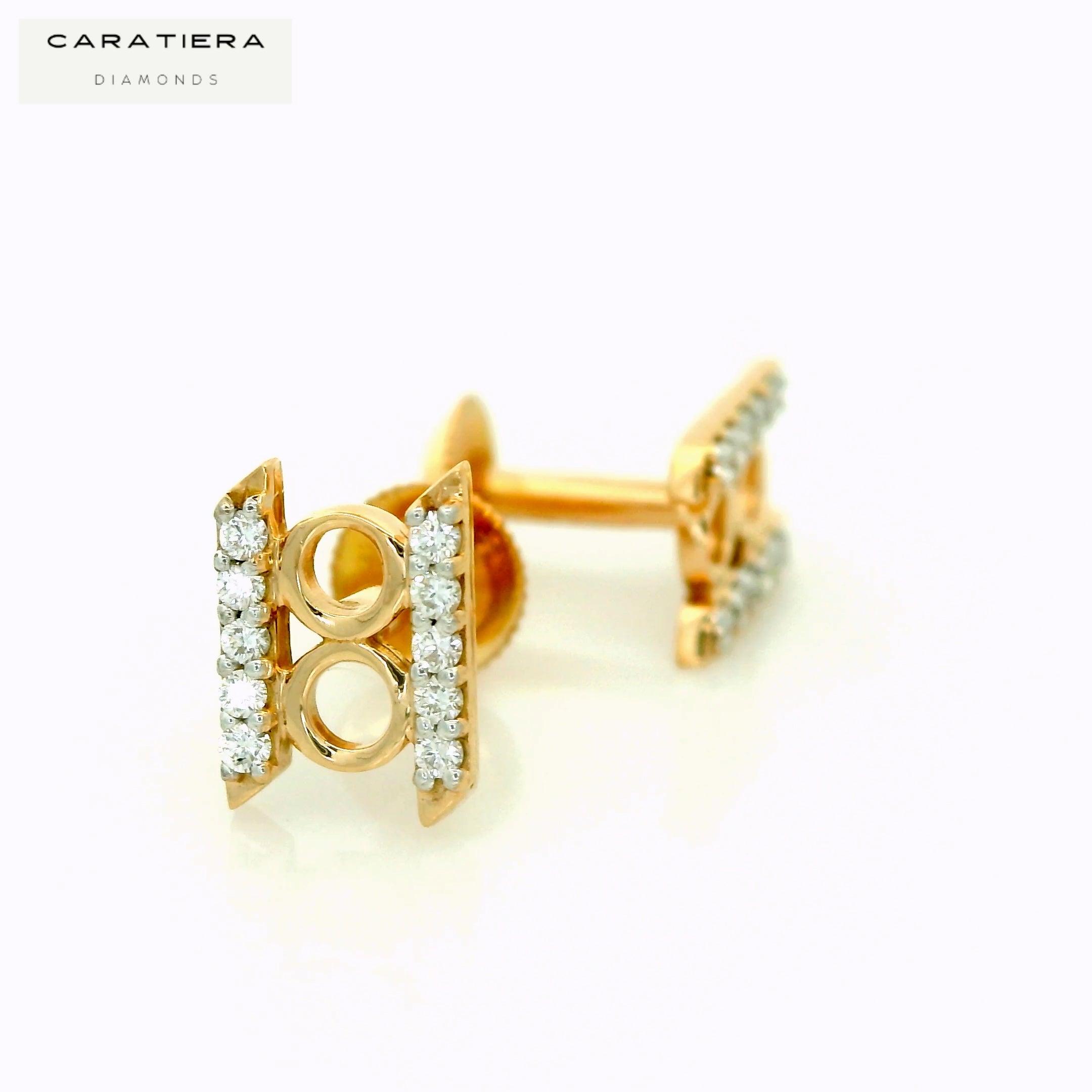 Orbit Frame Diamond Stud  -STDD554