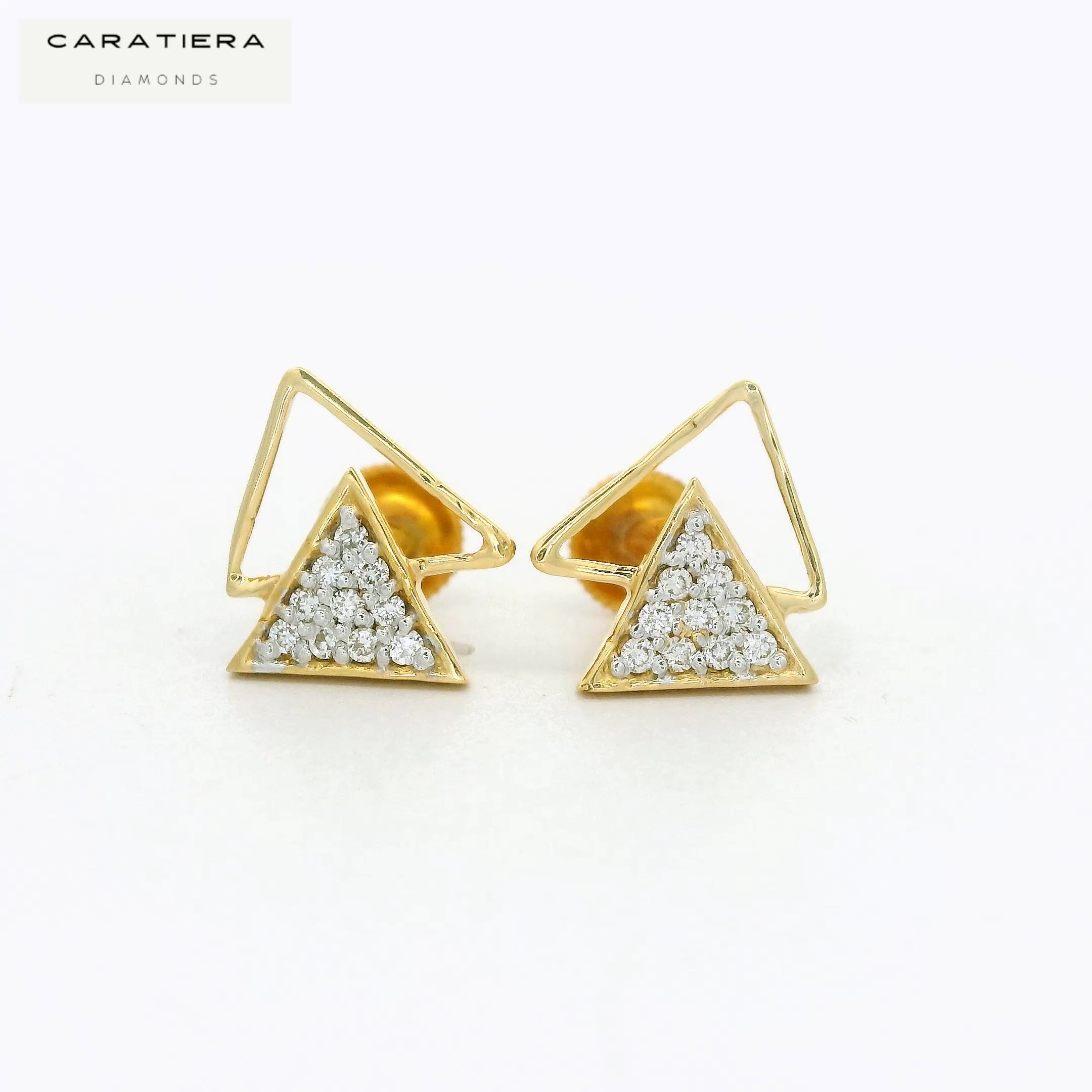 Prism Duo Earrings  -STDD569