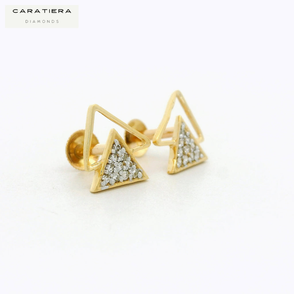 Prism Duo Earrings  -STDD569