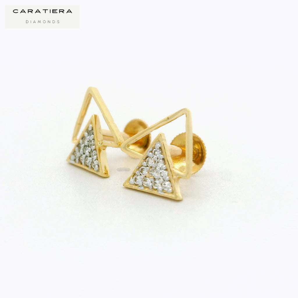 Prism Duo Earrings  -STDD569