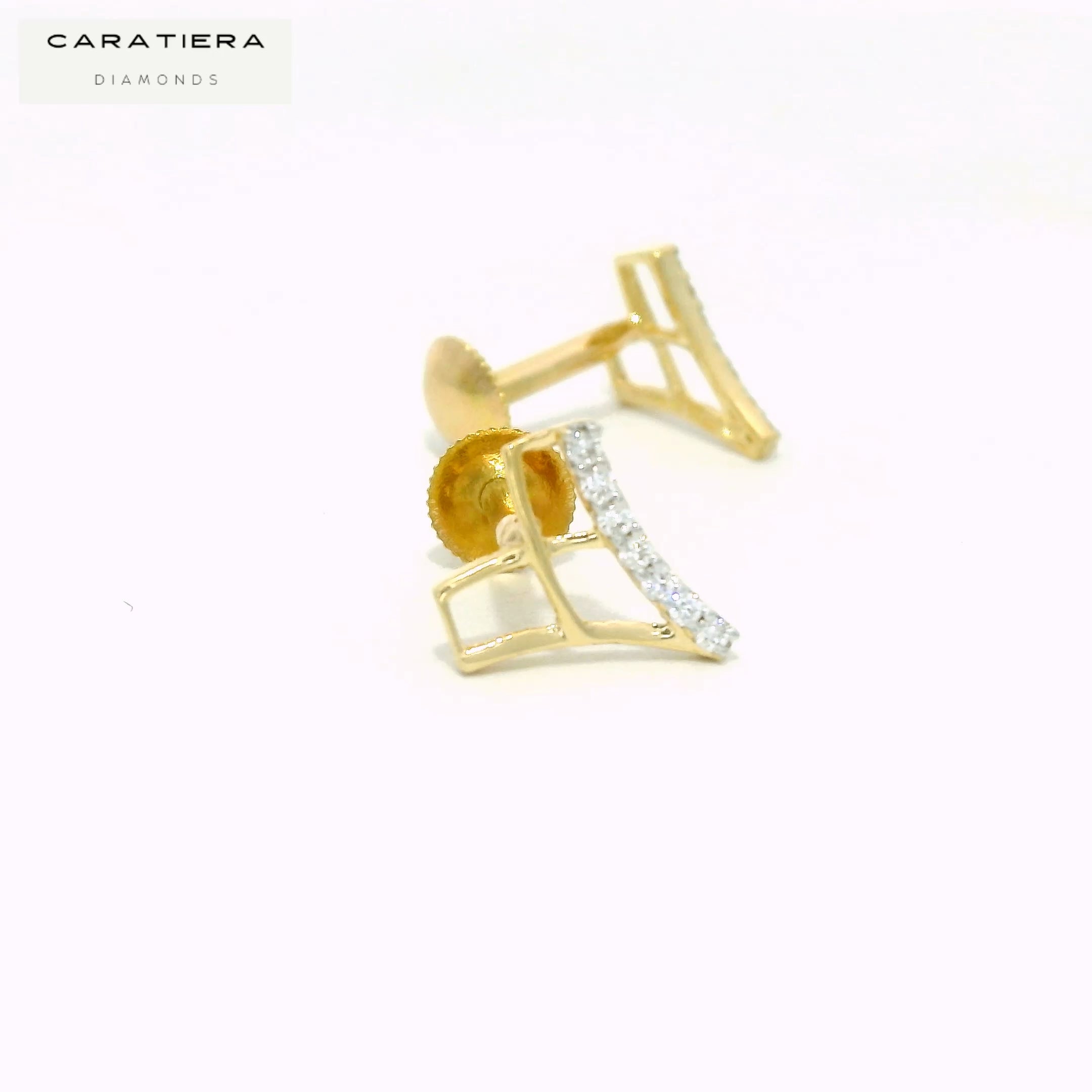 Radiant Crest Earrings   -STDD900