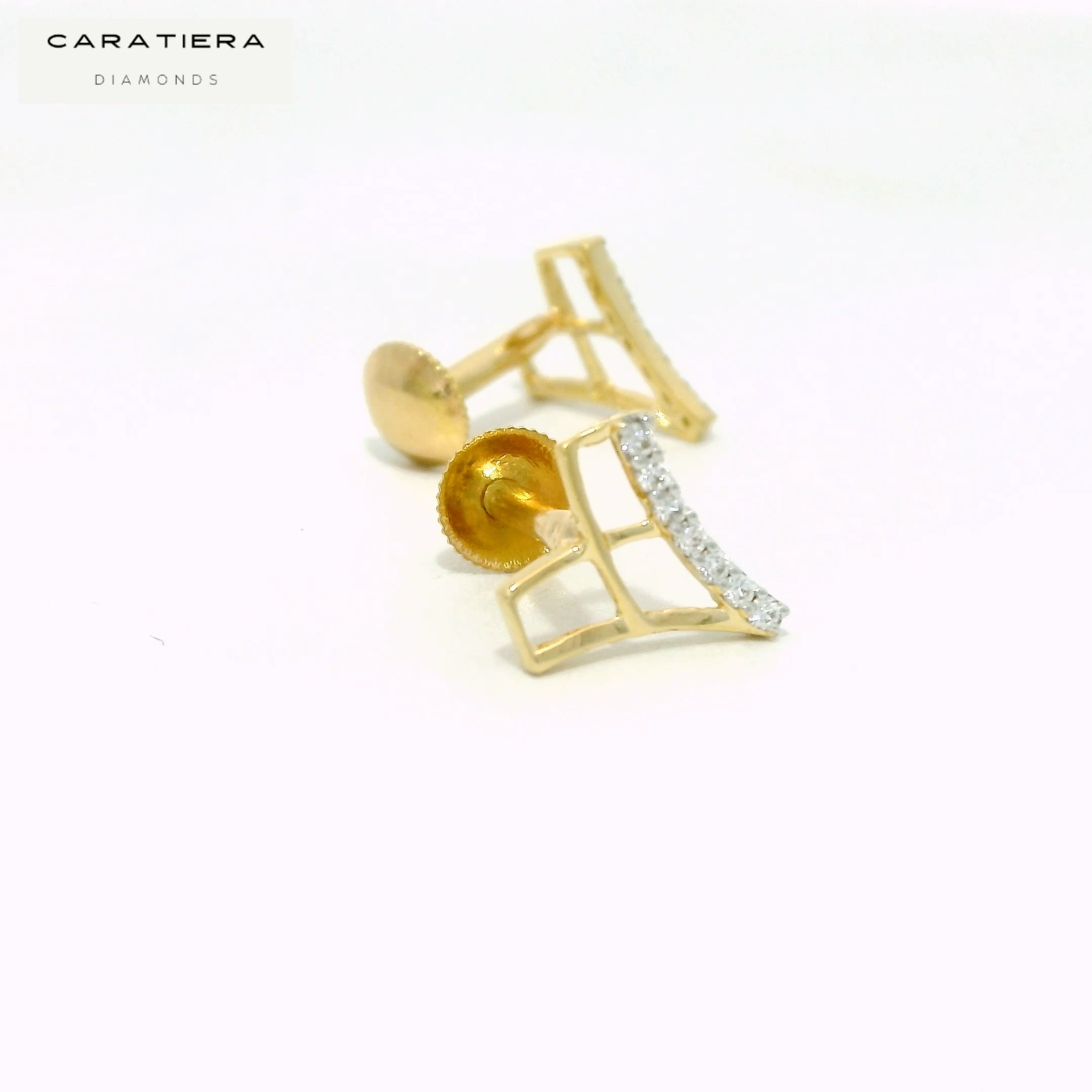 Radiant Crest Earrings   -STDD900