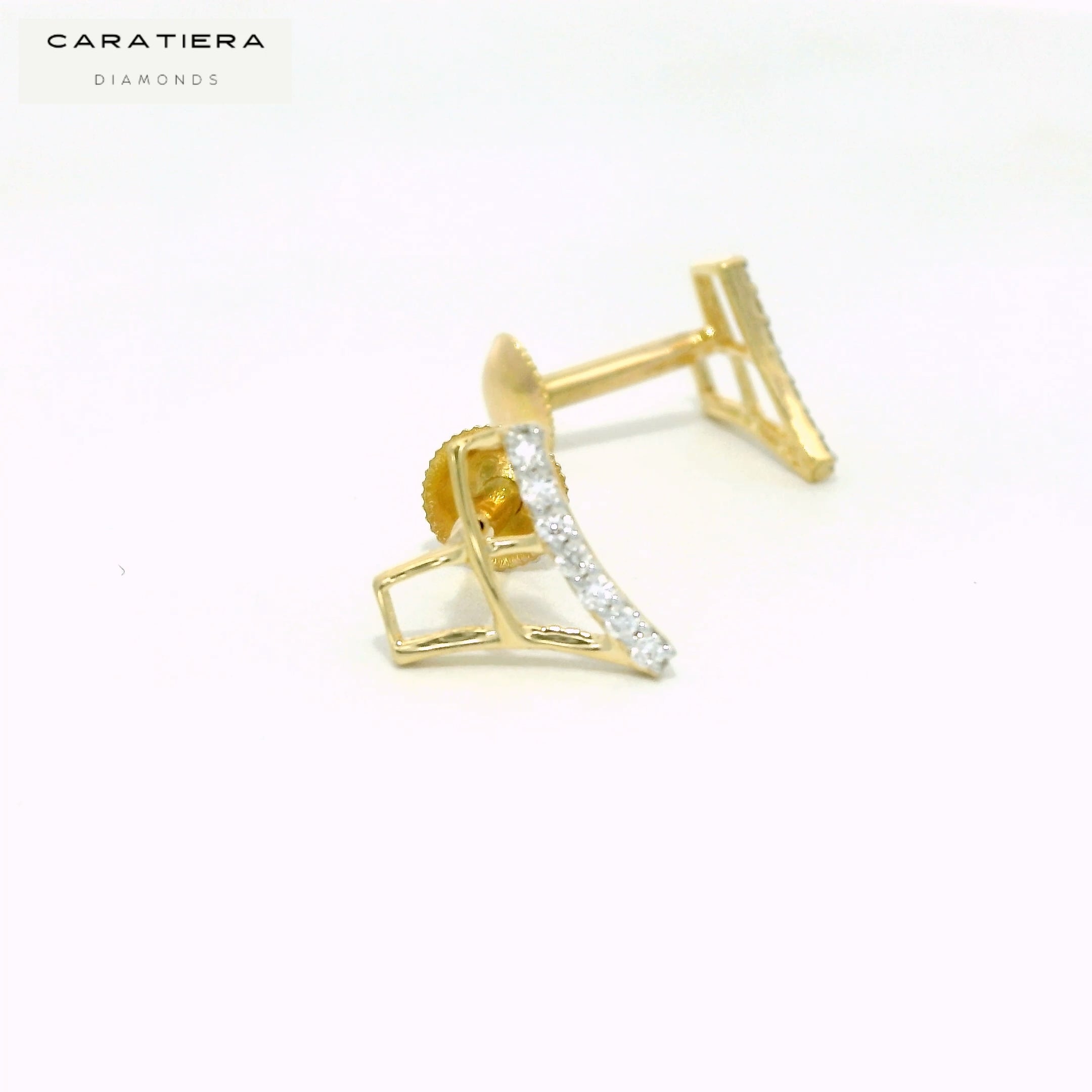 Radiant Crest Earrings   -STDD900